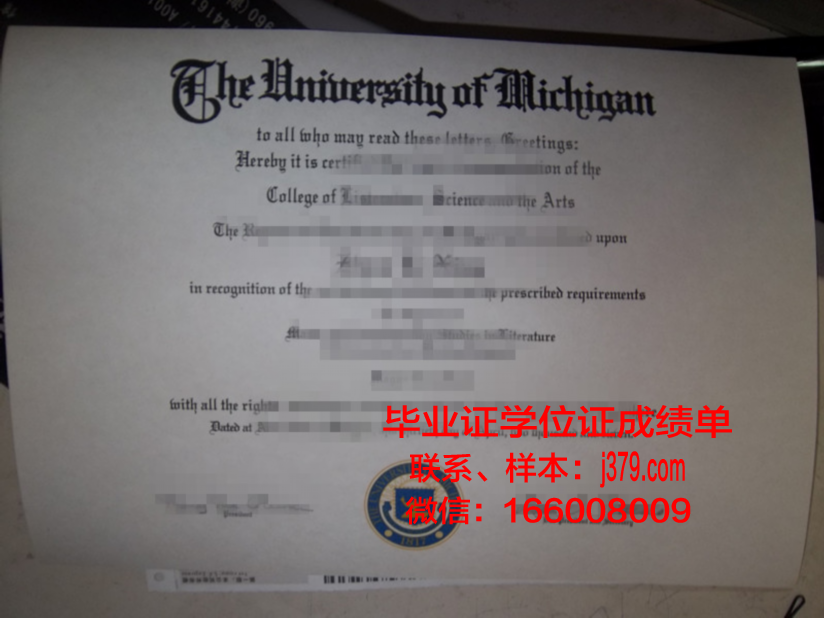 戈亚斯联邦大学毕业证封面