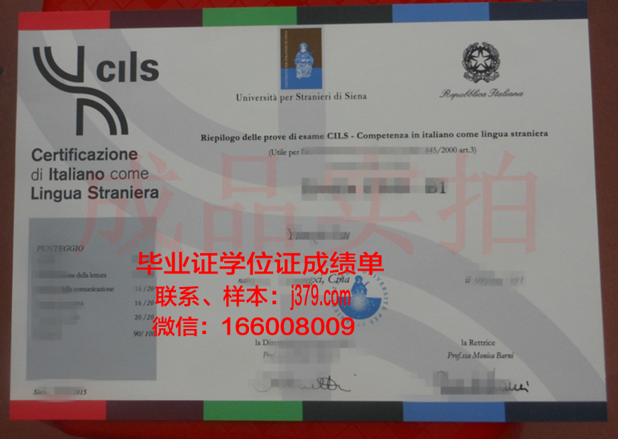 意大利锡耶纳外国人大学硕士毕业证(意大利锡耶纳外国人大学学费)