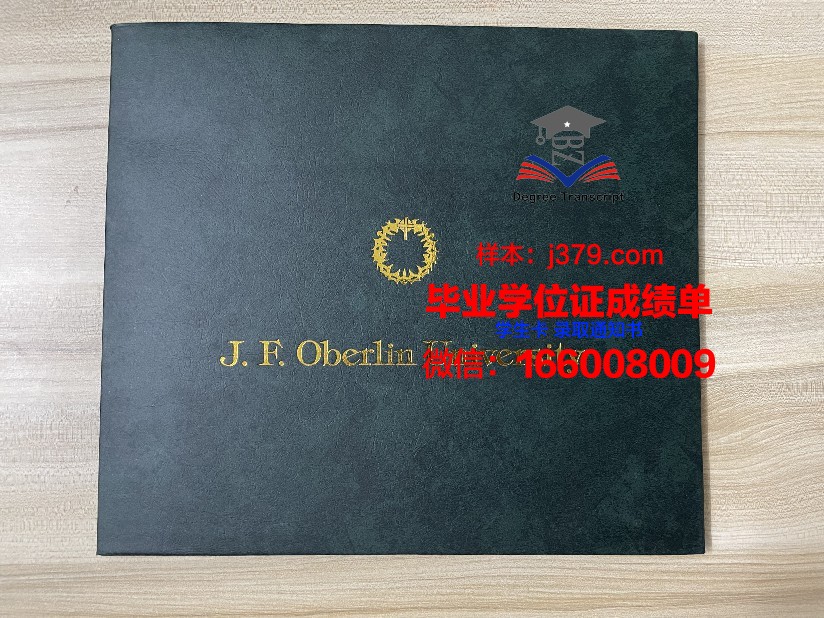 康茨坦茨应用技术大学毕业证书图片高清(康斯坦茨大学心理学)