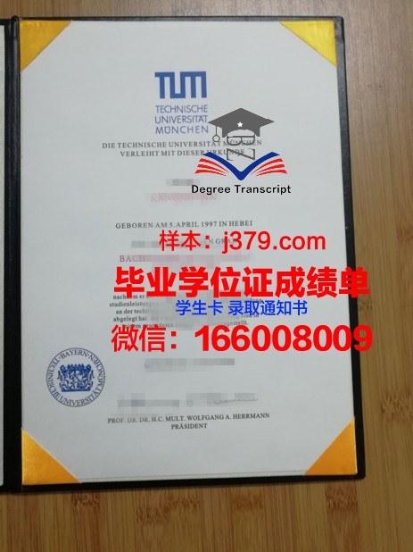 慕尼黑造型艺术学院毕业证学位文凭学历Diploma