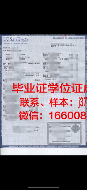 康斯坦察奥维迪乌斯大学成绩单：一份承载荣誉与梦想的证明