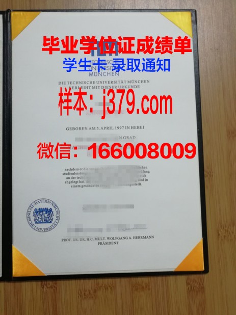 慕尼黑工业大学本科毕业证(慕尼黑工业大学本科毕业率)