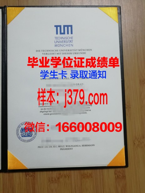 慕尼黑工大毕业证(慕尼黑工业大学新加坡分校毕业证)