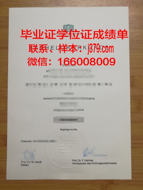 开姆尼茨工业大学毕业证外壳(开姆尼茨工业大学研究生)