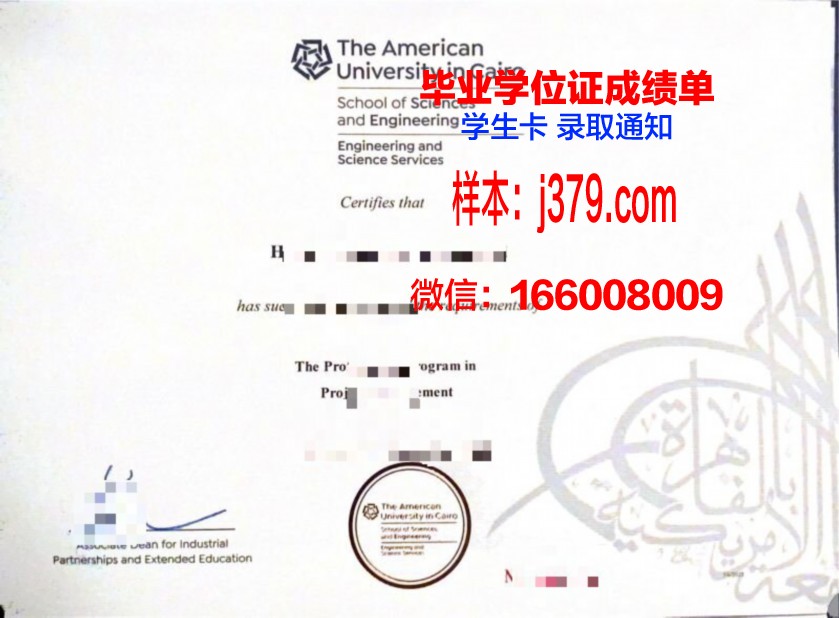 开罗大学毕业证图片(开罗大学为什么难毕业)
