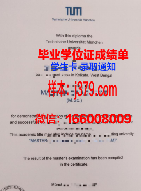 慕尼黑造型艺术学院毕业证是什么样子(慕尼黑设计学院)