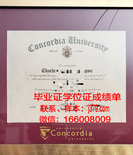 康考迪亚大学证书成绩单(康考迪亚大学工程学院)