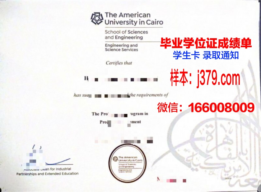 开罗大学毕业证是什么样呢(开罗大学毕业证是什么样呢图片)