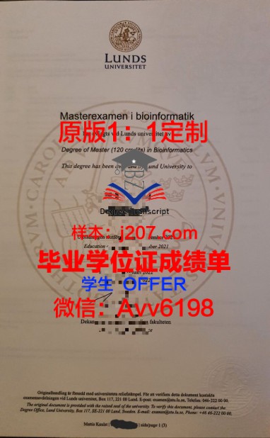 南丹麦学位成绩单定制，开启海外学历新篇章