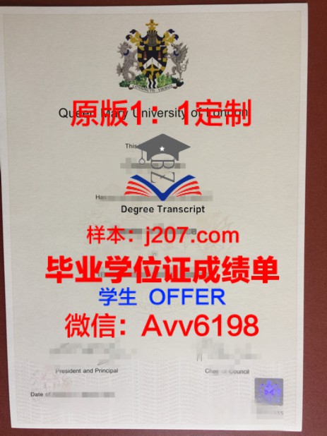 USydTech博士学位证：一张开启未来的通行证