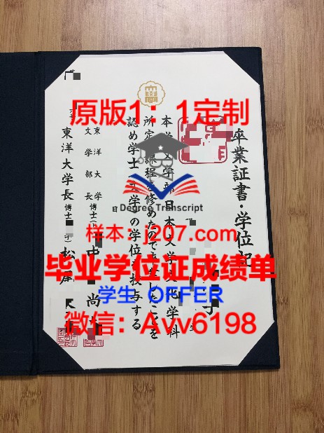 UMBC学位证定制：个性化教育的创新实践