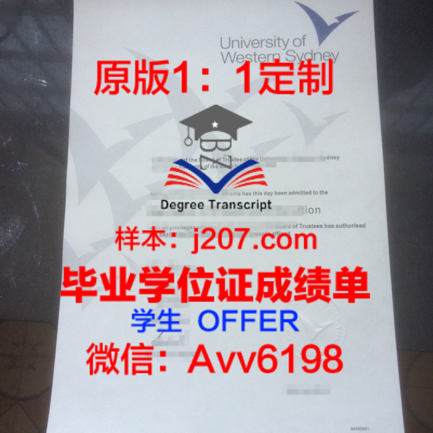 爱戈大本科毕业证：承载荣誉与梦想的证书