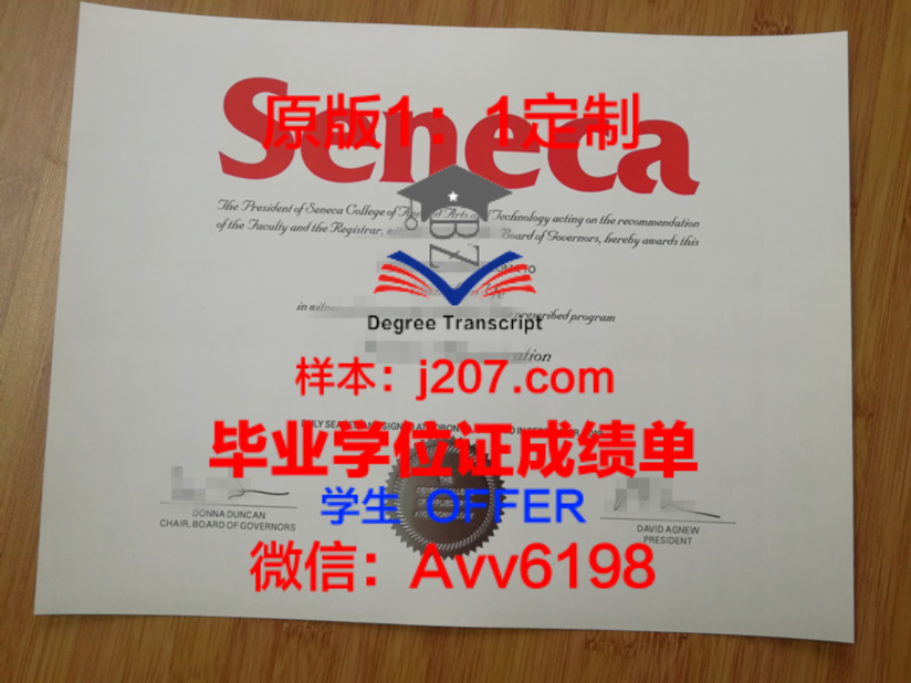 探秘DSTI学位证成绩单——教育国际化下的新趋势