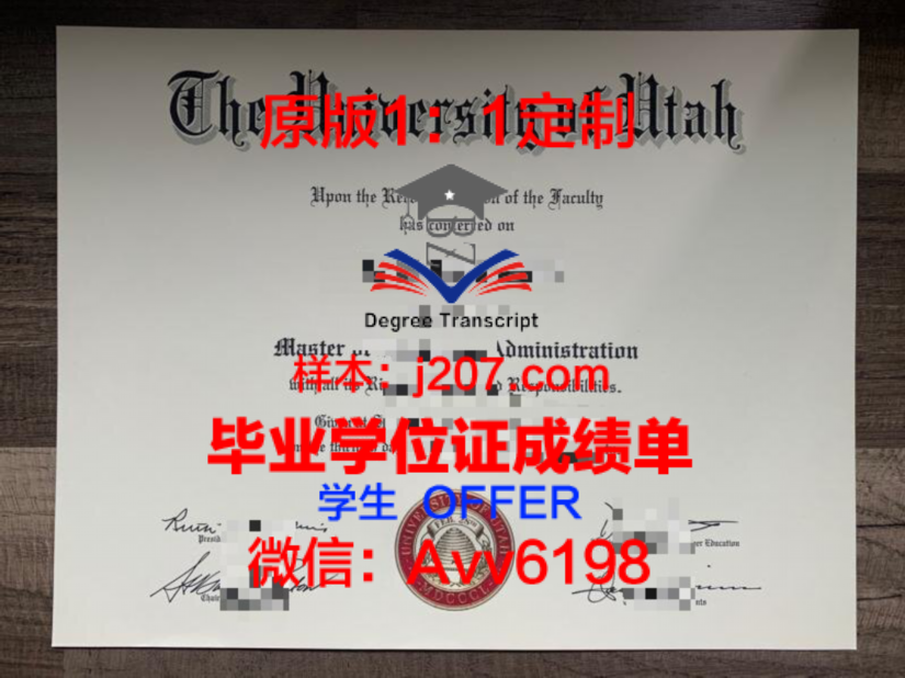 西奈山伊坎医学院学位证成绩单：一份学术荣耀的见证