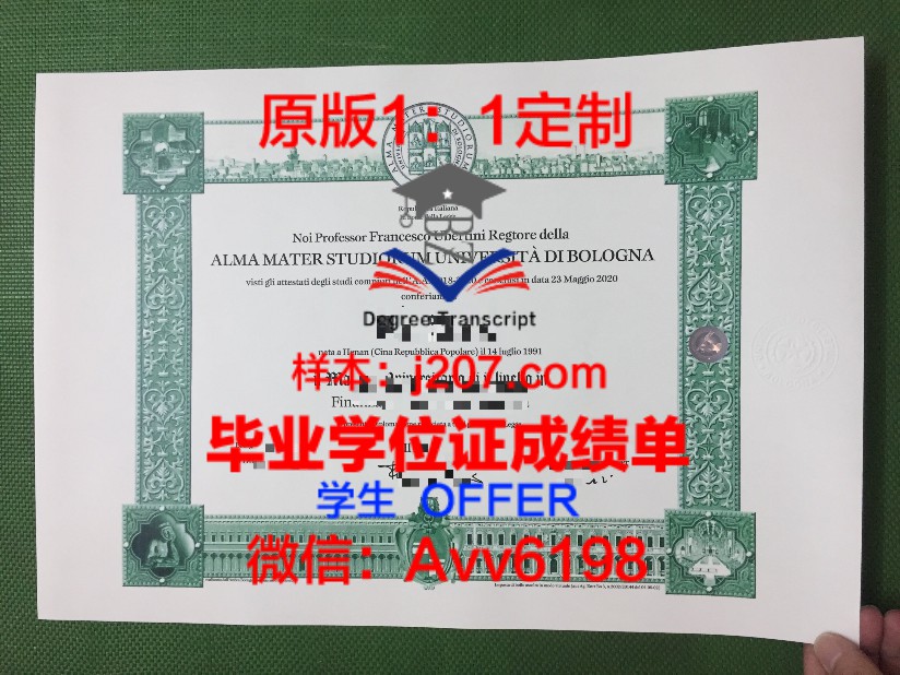 New Brunswick International Student Program毕业证Diploma文凭