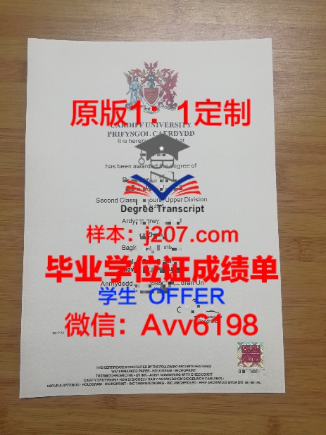 霍姆斯格兰理工学院毕业证Diploma文凭