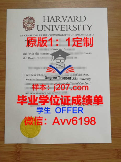 Padova学位证成绩单：一份承载荣誉与努力的证明