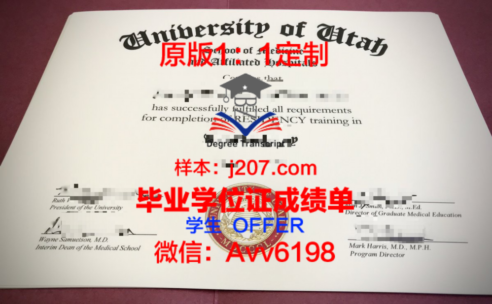 Wales Street Primary School毕业证Diploma文凭