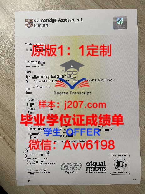 国立工艺学院本科学位证：承载知识与荣誉的证书