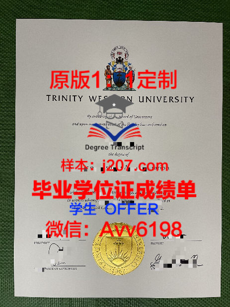 俄罗斯苏里科夫美术学院毕业证Diploma文凭