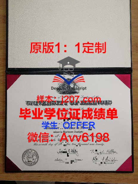 东北外国语观光专门学校本科毕业证：承载梦想的通行证