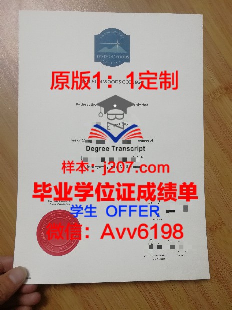 索菲毕业证定制：打造独一无二的毕业证书