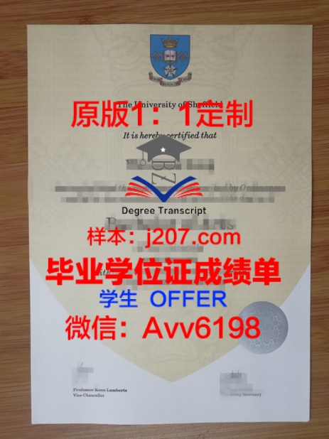 顿涅茨克国立音乐学院学位文凭定制：艺术与学术的融合之作