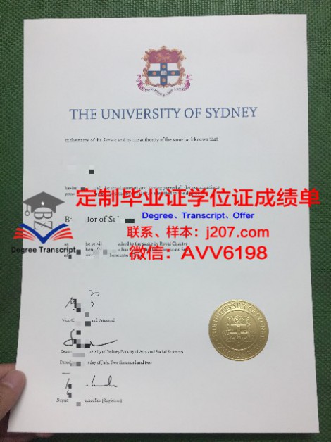 RTU硕士学位证：开启未来职业生涯的黄金钥匙