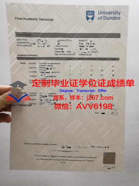 大原情报商务专门学校毕业证书：开启国际化职业道路的金钥匙