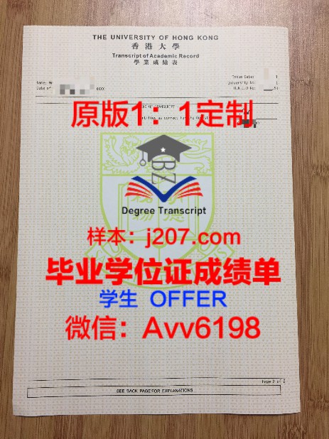 IR大本科学位证：开启国际化教育新篇章