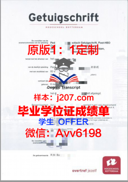 Tübingen Uni硕士学位证的独特魅力与价值