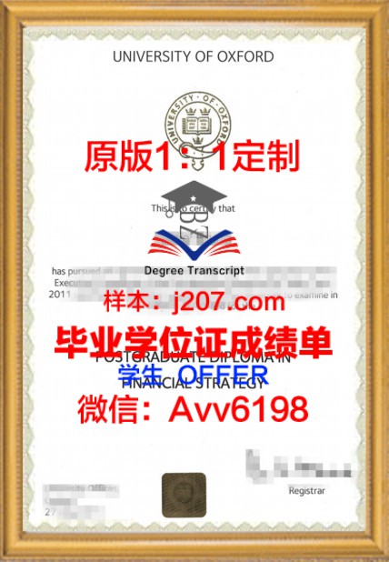 IPN毕业证定制：量身打造专属你的荣耀证书