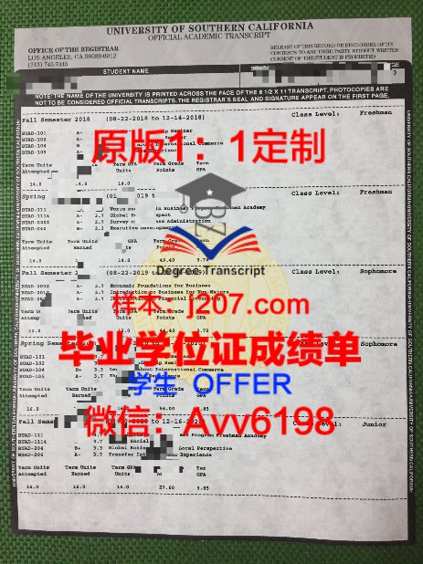日本博士毕业证图片：一份跨越文化的学术荣誉