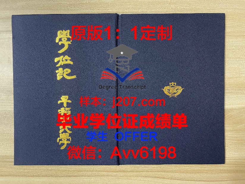 济大博士学位证书图片样本：展现学术成就的荣耀证书