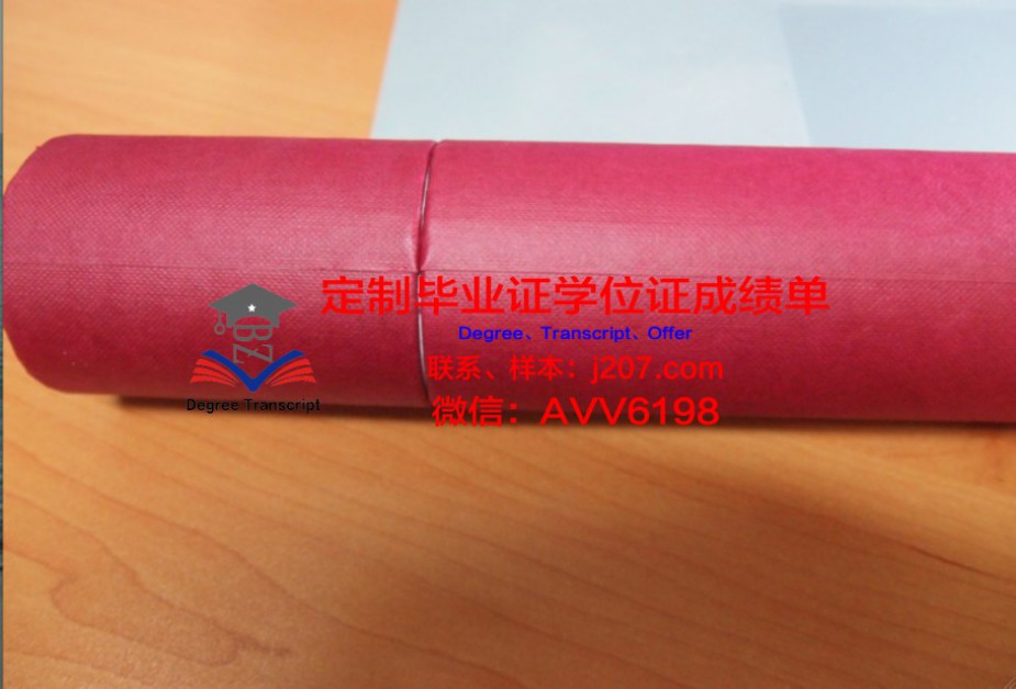俄罗斯科学院国家与法研究所硕士学位证的含金量与价值解析