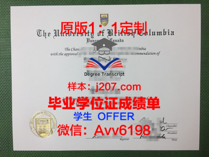 高等农学、食品、园艺与景观学院毕业证：承载知识与梦想的凭证