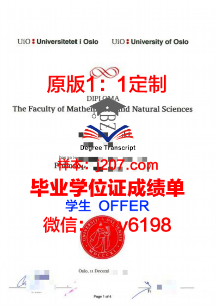 维尔纽斯工业大学学位文凭定制——量身打造教育成就的凭证