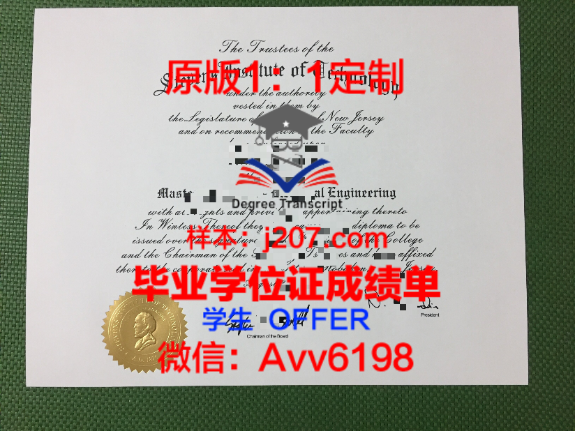日本工业大学毕业证成绩单：留学生职业发展的“黄金通行证”