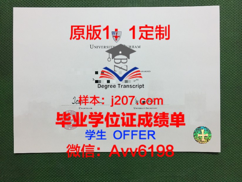 纽约大学硕士学位证书：开启全球职场新篇章