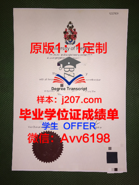 武汉大学学士学位证书照片：承载荣誉与回忆的永恒见证