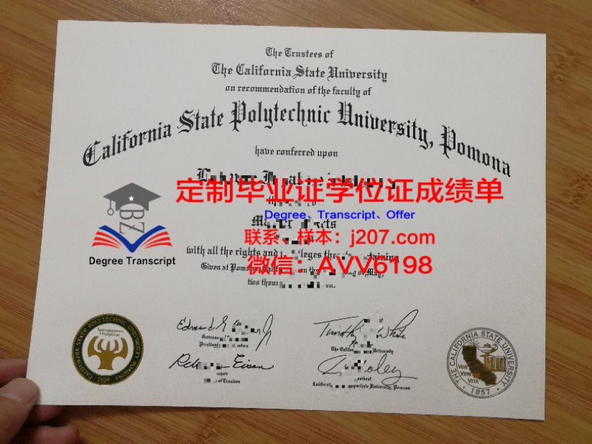 印度理工学院古瓦哈提分校毕业证长什么样(印度理工学院出过哪些名人)