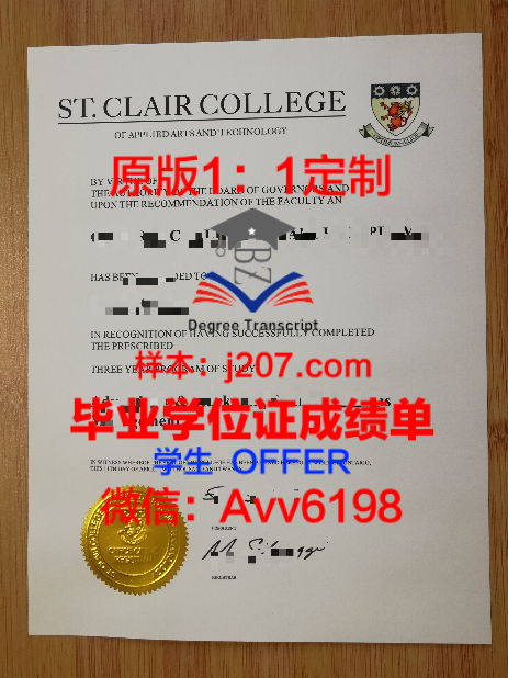 高等数码艺术学院学位证：未来新时代接班人的象征