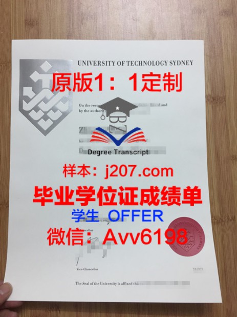 耶鲁大学博士回国待遇：海归精英的崭新舞台