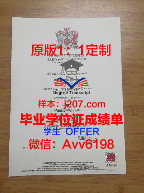 专业成绩单导出攻略：轻松获取你的学业成果