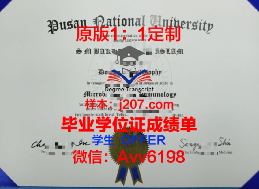 斯威科大硕士毕业证：一张纸背后的故事