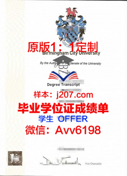 班戈毕业证：一张纸背后的故事