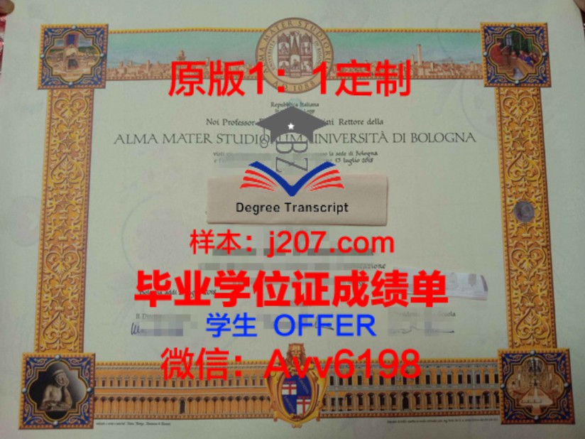 济南大学本科毕业证：一张承载梦想与奋斗的证书