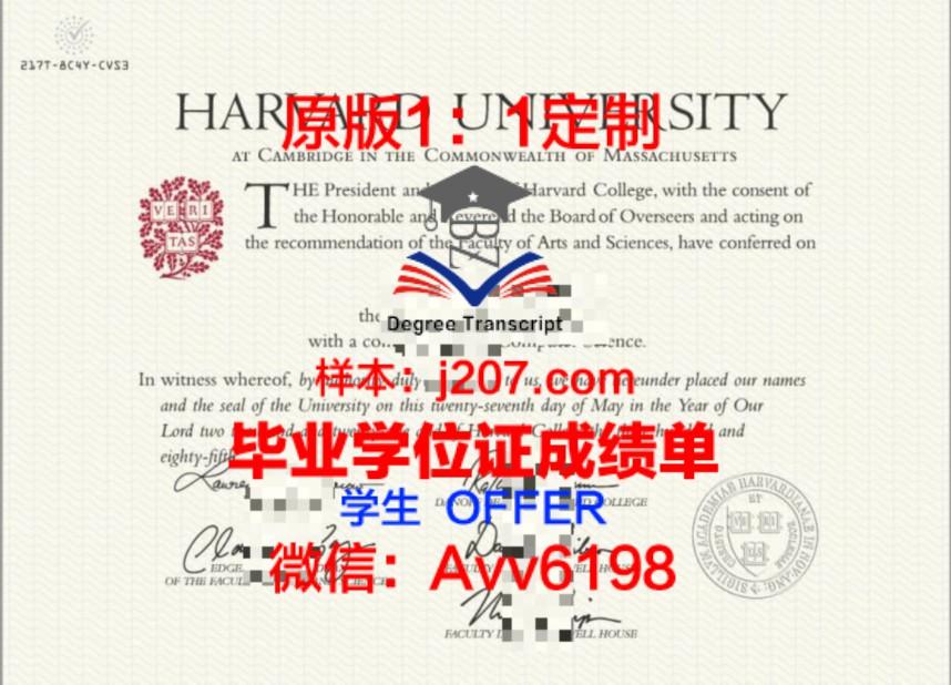 哈佛大学博士读几年：探索学术巅峰的旅程