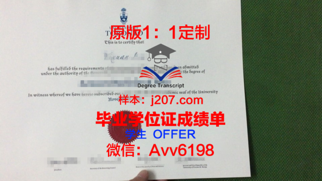 大学生学位证书：知识与荣誉的象征