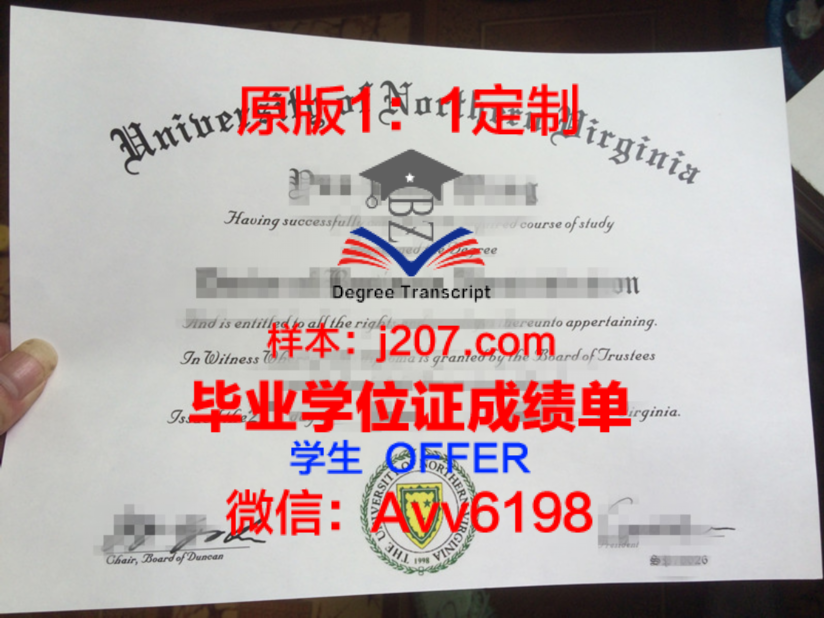 SDU学位文凭定制：个性化教育的崭新篇章